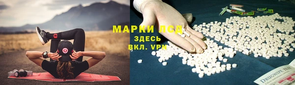 PSILOCYBIN Медногорск