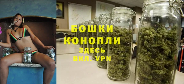PSILOCYBIN Медногорск