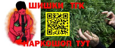 гидра Краснознаменск
