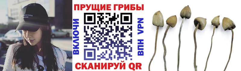 Галлюциногенные грибы Magic Shrooms  Прокопьевск 