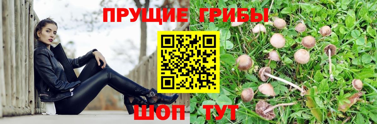 Прокопьевск  Псилоцибиновые грибы мицелий  Галлюциногенные грибы Psilocybine cubensis  цены   Вход с VPN 