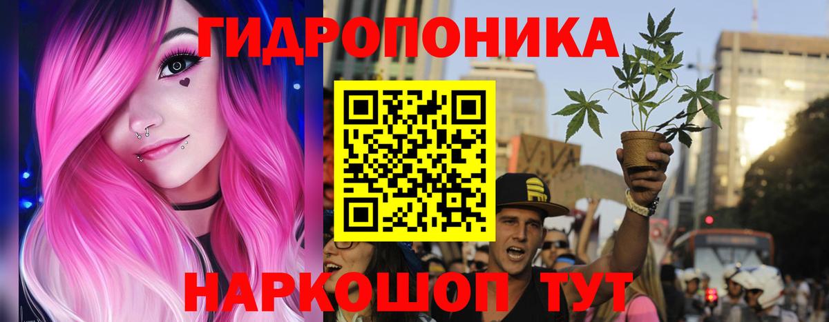 МЕФ Прокопьевск